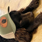 Boykin Spaniel - Leather Patch Hat