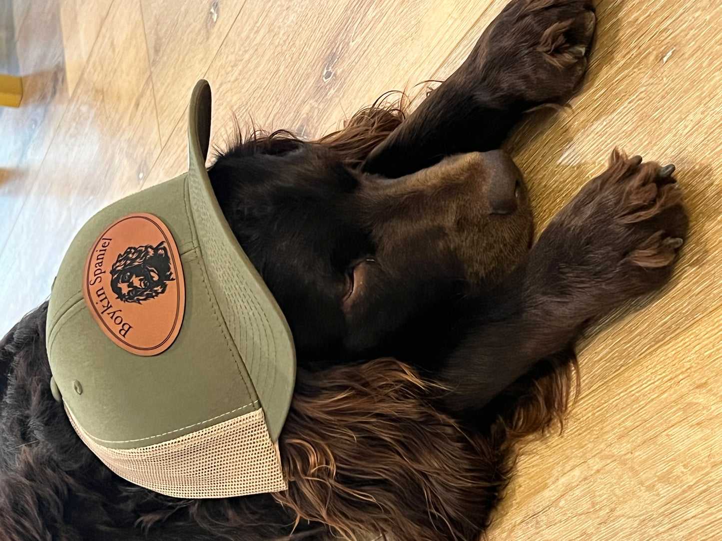 Boykin Spaniel - Leather Patch Hat